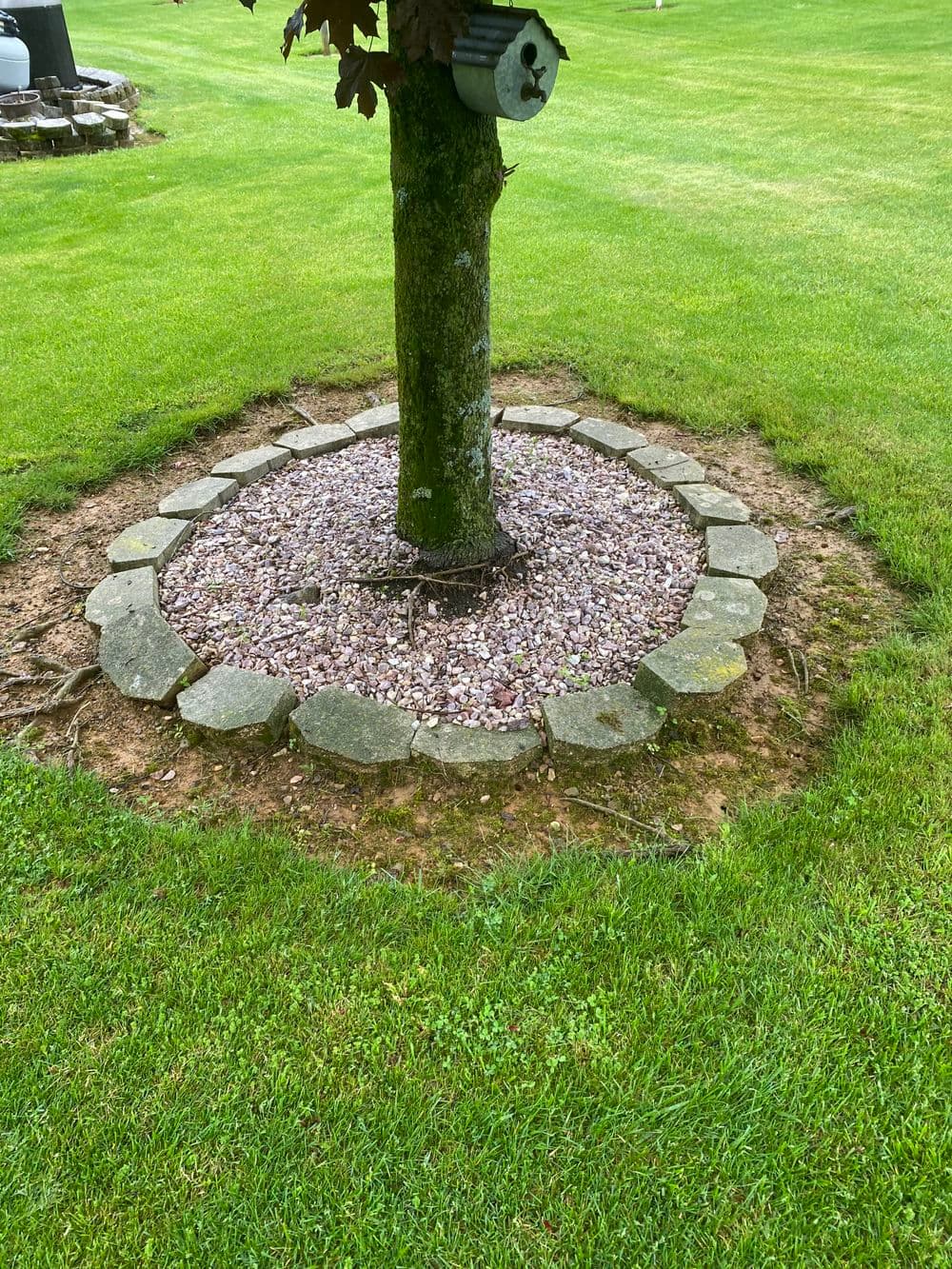 Tree surrounded by a circular stone border and mulch in a manicured lawn.