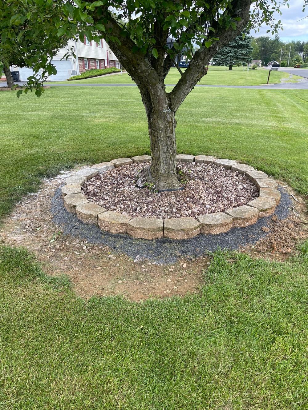 Tree with stone border and landscaping around the base in a grassy yard.