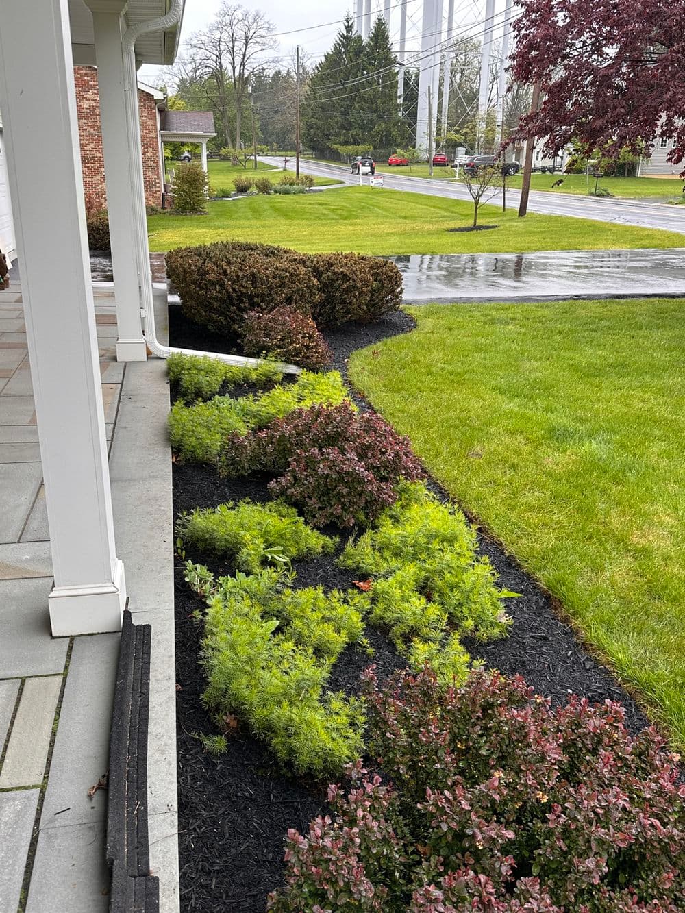 Lush landscaping with green shrubs and black mulch in a residential front yard.